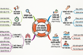 Trung tâm Cứu hộ, Bảo tồn và Phát triển sinh vật tăng cường tuyên truyền phòng, chống đuối nước trẻ em